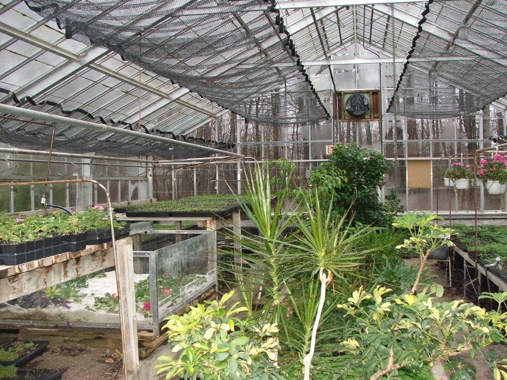 Image of Greenhouse
