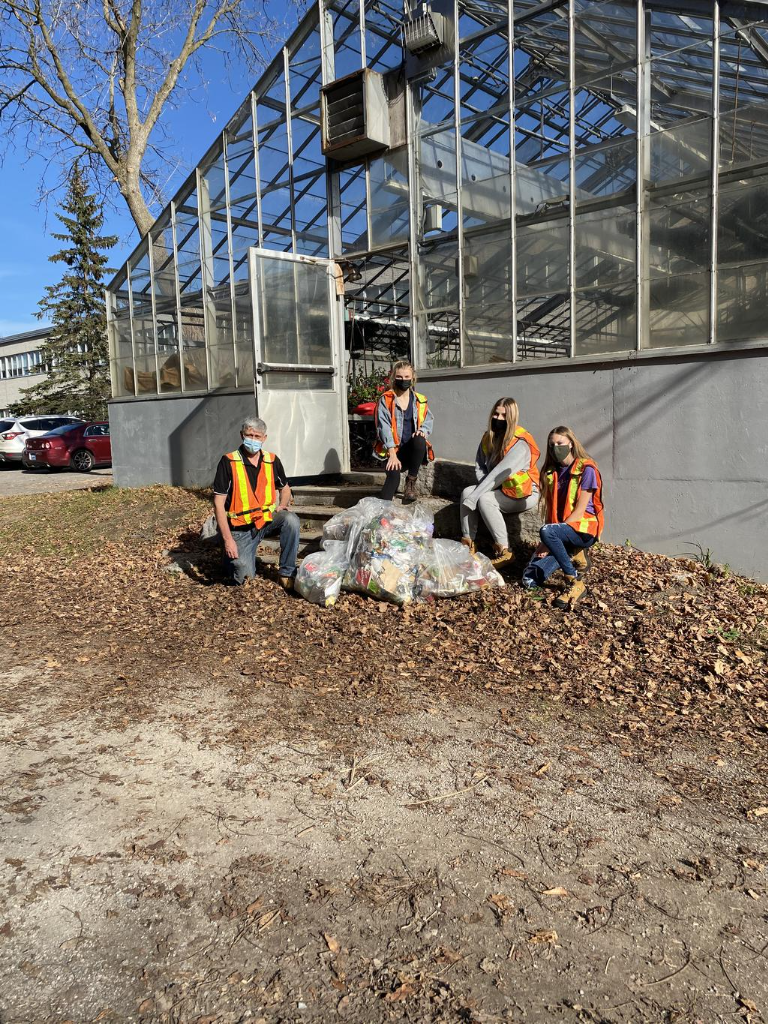 Greenhouse Cleanup